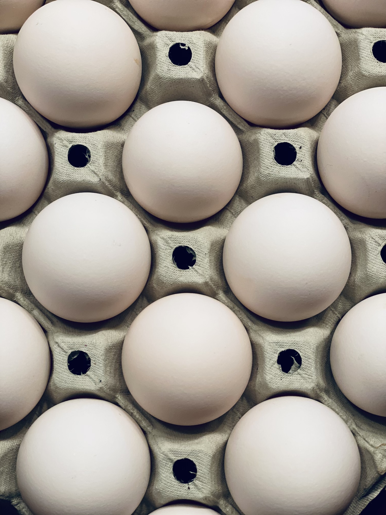 Egg